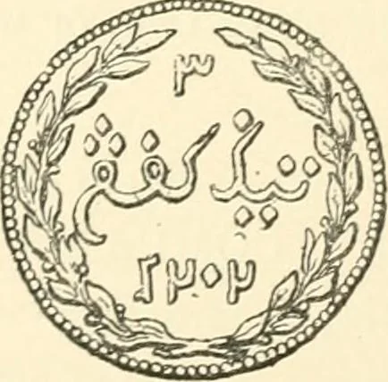 An illustration from The coins and tokens of the possessions and colonies of the British empire, 1889, leaf 213