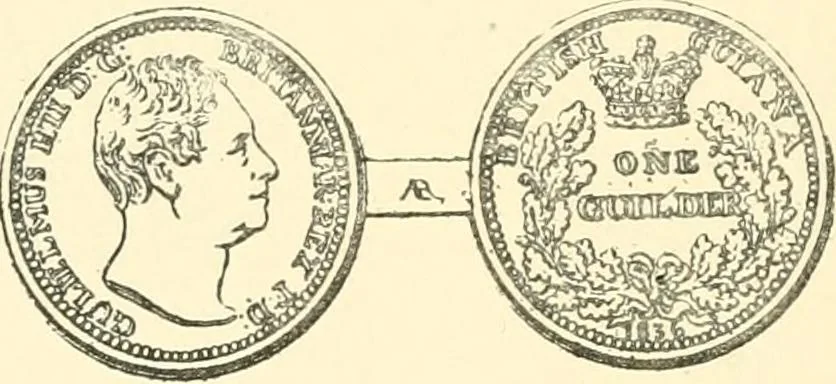 An illustration from The coins and tokens of the possessions and colonies of the British empire, 1889, leaf 341