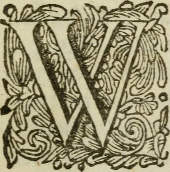 An illustration from Collectanea medico-physica, oft, Hollands jaar-register der genees- en natuur-kundige aanmerkingen van gantsch Europa &c. : beginnende met het jaar MDCLXXX : door eigen ondervinding en gemeen-making van verscheide heeren en liefhebbers, 1680, leaf 10