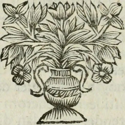 An illustration from Collectanea medico-physica, oft, Hollands jaar-register der genees- en natuur-kundige aanmerkingen van gantsch Europa &c. : beginnende met het jaar MDCLXXX : door eigen ondervinding en gemeen-making van verscheide heeren en liefhebbers, 1680, leaf 105