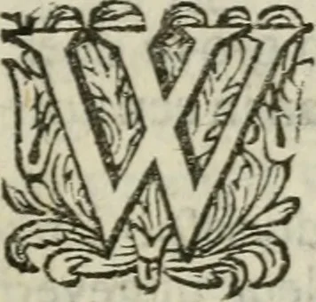 An illustration from Collectanea medico-physica, oft, Hollands jaar-register der genees- en natuur-kundige aanmerkingen van gantsch Europa &c. : beginnende met het jaar MDCLXXX : door eigen ondervinding en gemeen-making van verscheide heeren en liefhebbers, 1680, leaf 106