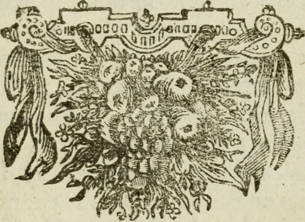 An illustration from Collectanea medico-physica, oft, Hollands jaar-register der genees- en natuur-kundige aanmerkingen van gantsch Europa &c. : beginnende met het jaar MDCLXXX : door eigen ondervinding en gemeen-making van verscheide heeren en liefhebbers, 1680, leaf 13