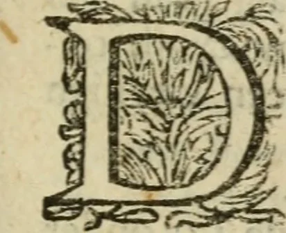 An illustration from Collectanea medico-physica, oft, Hollands jaar-register der genees- en natuur-kundige aanmerkingen van gantsch Europa &c. : beginnende met het jaar MDCLXXX : door eigen ondervinding en gemeen-making van verscheide heeren en liefhebbers, 1680, leaf 196