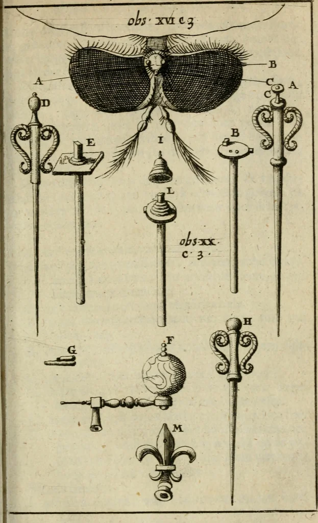 An illustration from Collectanea medico-physica, oft, Hollands jaar-register der genees- en natuur-kundige aanmerkingen van gantsch Europa &c. : beginnende met het jaar MDCLXXX : door eigen ondervinding en gemeen-making van verscheide heeren en liefhebbers, 1680, leaf 236
