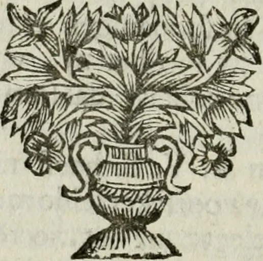 An illustration from Collectanea medico-physica, oft, Hollands jaar-register der genees- en natuur-kundige aanmerkingen van gantsch Europa &c. : beginnende met het jaar MDCLXXX : door eigen ondervinding en gemeen-making van verscheide heeren en liefhebbers, 1680, leaf 325