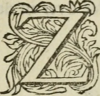 An illustration from Collectanea medico-physica, oft, Hollands jaar-register der genees- en natuur-kundige aanmerkingen van gantsch Europa &c. : beginnende met het jaar MDCLXXX : door eigen ondervinding en gemeen-making van verscheide heeren en liefhebbers, 1680, leaf 326
