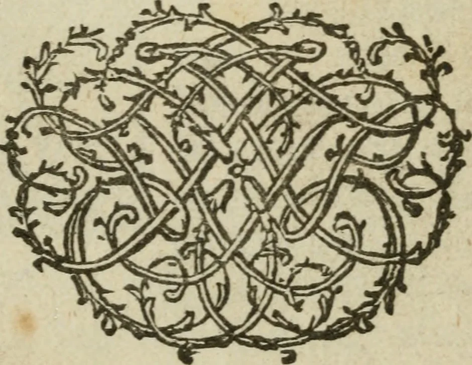 An illustration from Collectanea medico-physica, oft, Hollands jaar-register der genees- en natuur-kundige aanmerkingen van gantsch Europa &c. : beginnende met het jaar MDCLXXX : door eigen ondervinding en gemeen-making van verscheide heeren en liefhebbers, 1680, leaf 8