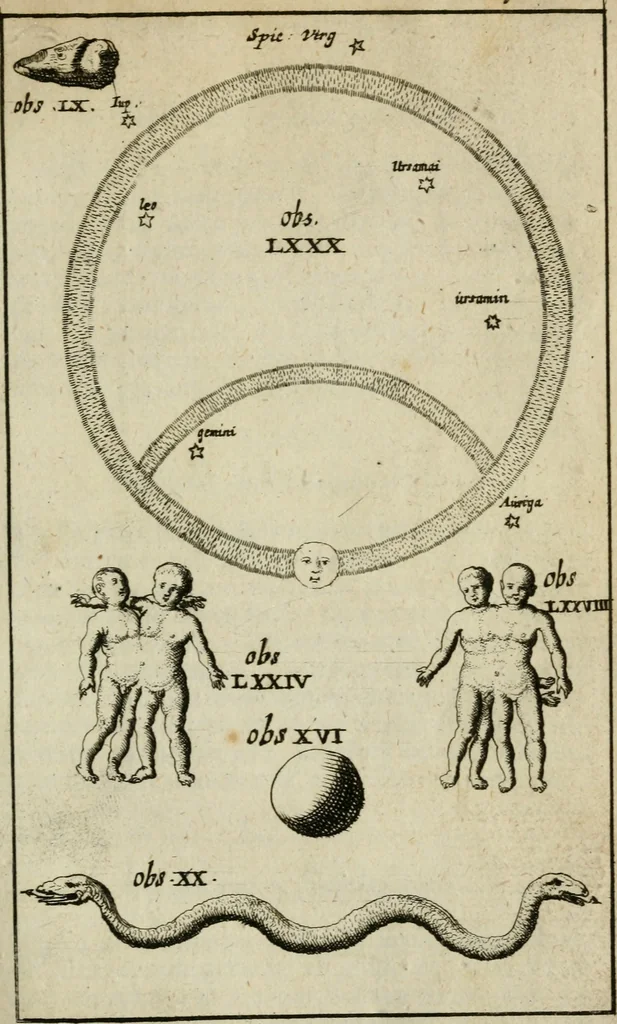 An illustration from Collectanea medico-physica, oft, Hollands jaar-register der genees- en natuur-kundige aanmerkingen van gantsch Europa &c. : beginnende met het jaar MDCLXXX : door eigen ondervinding en gemeen-making van verscheide heeren en liefhebbers, 1680, leaf 90