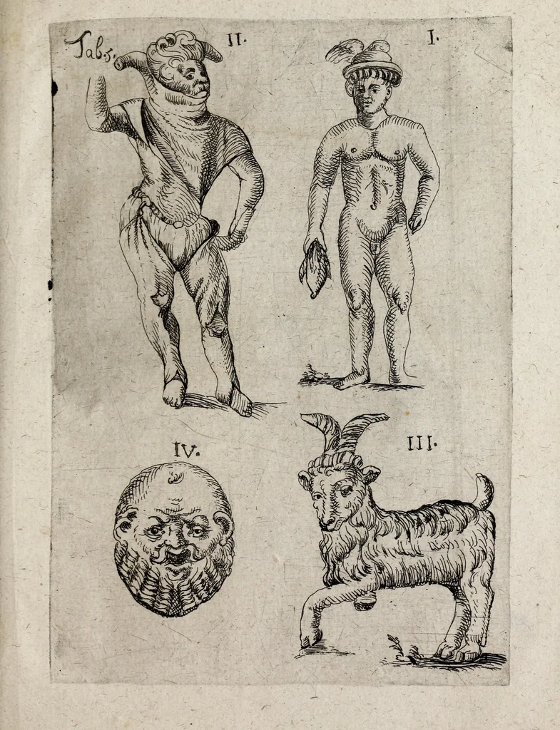 An illustration from Collectaneorum naturae, artis & antiquitatis specimen primum antiquitatis : sive urnae sepulchralis, nuper extra urbem Mognuntinam erutae descriptio, 1697, leaf 13