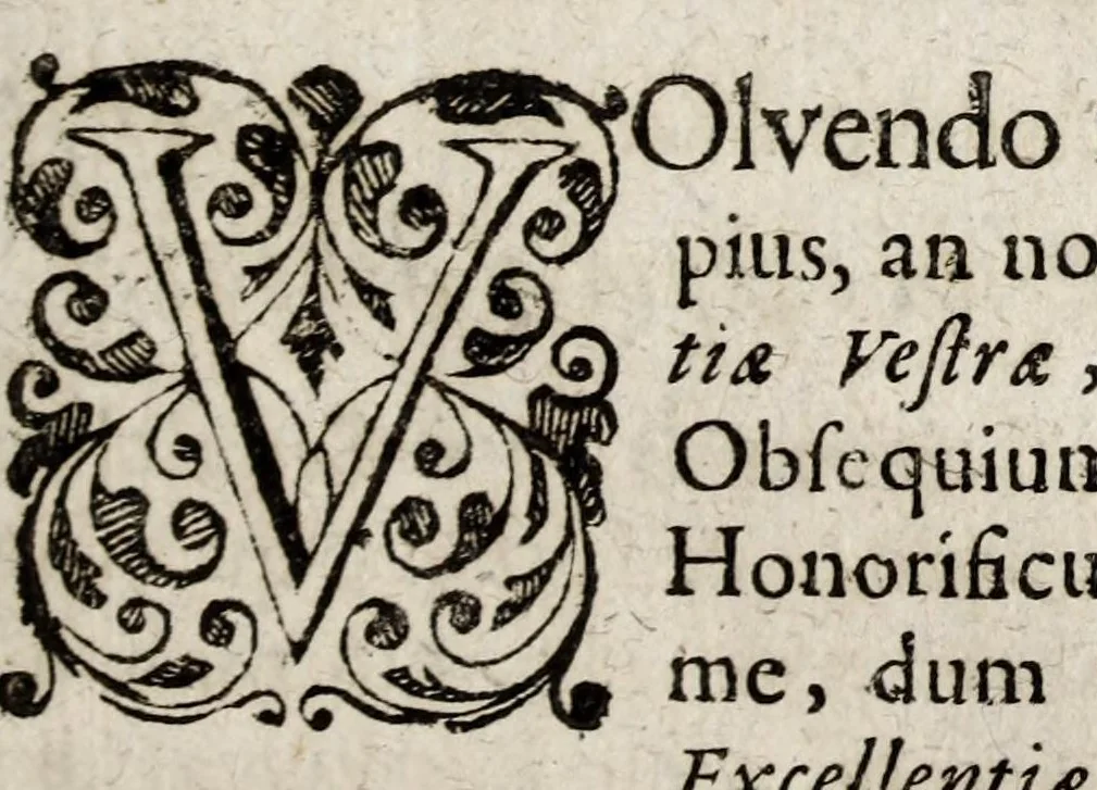 An illustration from Collectaneorum naturae, artis & antiquitatis specimen primum antiquitatis : sive urnae sepulchralis, nuper extra urbem Mognuntinam erutae descriptio, 1697, leaf 9
