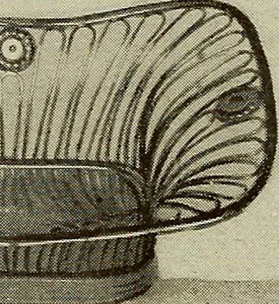 An illustration from Collecting as a pastime, 1920, leaf 199