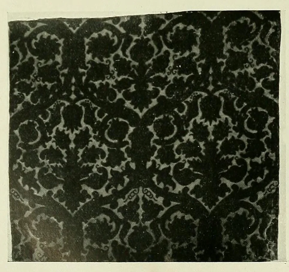 An illustration from Collection d'anciennes étoffes, réunies et décrites, 1901, leaf 150