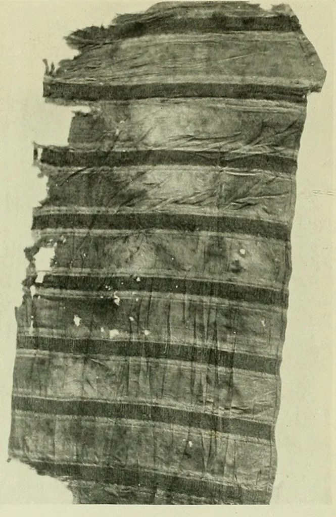 An illustration from Collection d'anciennes étoffes, réunies et décrites, 1901, leaf 24