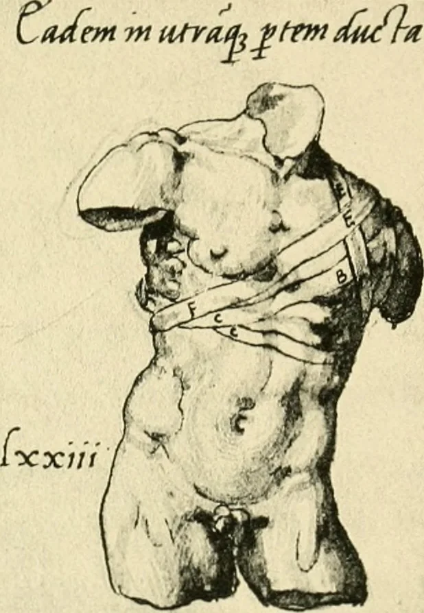 An illustration from Collection de chirurgiens grecs avec dessins attribués au Primatice. Reproduction réduite des 200 dessins du Manuscrit latin 6866 de la Bibliothèque nationale, 1908, leaf 112