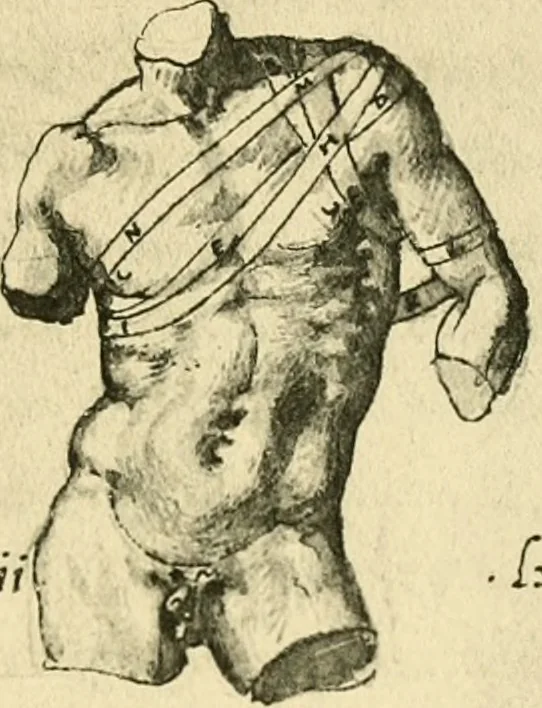 An illustration from Collection de chirurgiens grecs avec dessins attribués au Primatice. Reproduction réduite des 200 dessins du Manuscrit latin 6866 de la Bibliothèque nationale, 1908, leaf 114