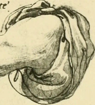 An illustration from Collection de chirurgiens grecs avec dessins attribués au Primatice. Reproduction réduite des 200 dessins du Manuscrit latin 6866 de la Bibliothèque nationale, 1908, leaf 138