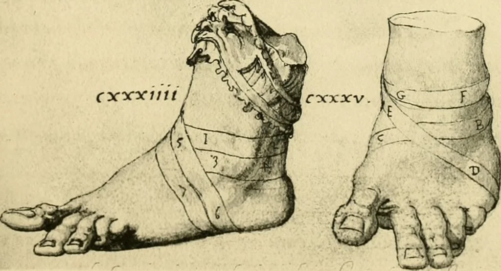 An illustration from Collection de chirurgiens grecs avec dessins attribués au Primatice. Reproduction réduite des 200 dessins du Manuscrit latin 6866 de la Bibliothèque nationale, 1908, leaf 144