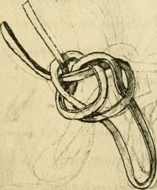 An illustration from Collection de chirurgiens grecs avec dessins attribués au Primatice. Reproduction réduite des 200 dessins du Manuscrit latin 6866 de la Bibliothèque nationale, 1908, leaf 156