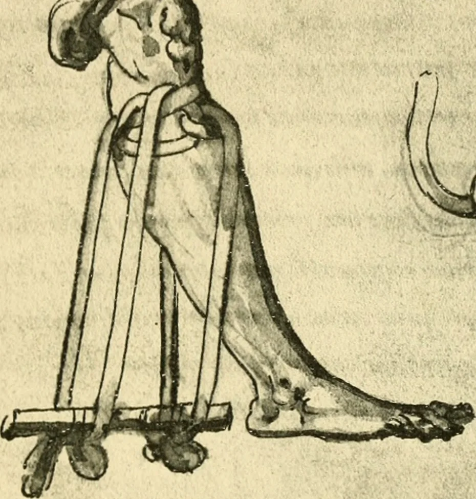 An illustration from Collection de chirurgiens grecs avec dessins attribués au Primatice. Reproduction réduite des 200 dessins du Manuscrit latin 6866 de la Bibliothèque nationale, 1908, leaf 158