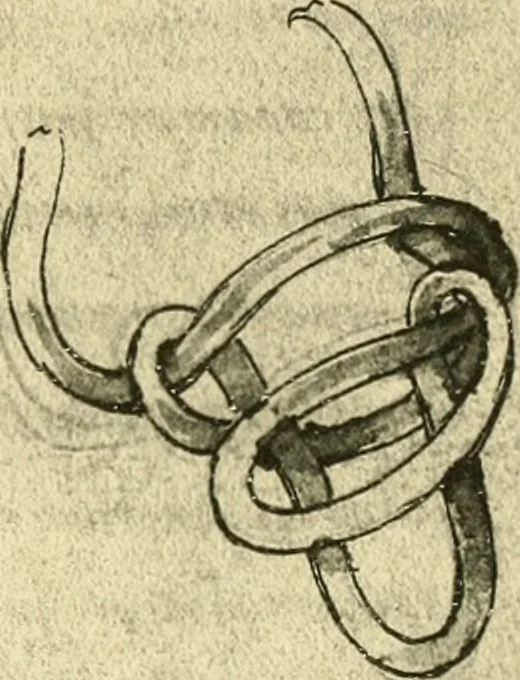 An illustration from Collection de chirurgiens grecs avec dessins attribués au Primatice. Reproduction réduite des 200 dessins du Manuscrit latin 6866 de la Bibliothèque nationale, 1908, leaf 158