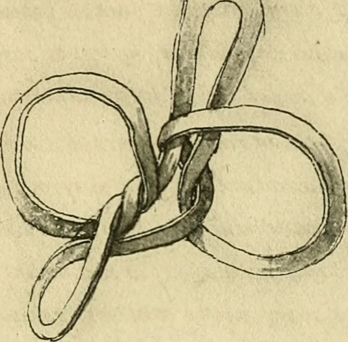 An illustration from Collection de chirurgiens grecs avec dessins attribués au Primatice. Reproduction réduite des 200 dessins du Manuscrit latin 6866 de la Bibliothèque nationale, 1908, leaf 164