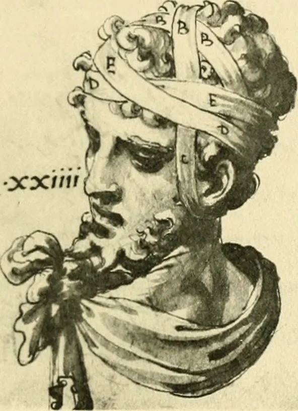 An illustration from Collection de chirurgiens grecs avec dessins attribués au Primatice. Reproduction réduite des 200 dessins du Manuscrit latin 6866 de la Bibliothèque nationale, 1908, leaf 86