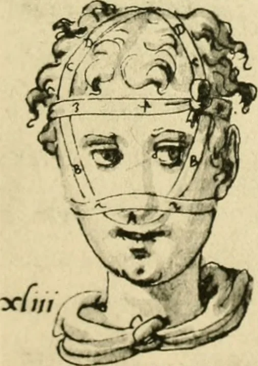 An illustration from Collection de chirurgiens grecs avec dessins attribués au Primatice. Reproduction réduite des 200 dessins du Manuscrit latin 6866 de la Bibliothèque nationale, 1908, leaf 96