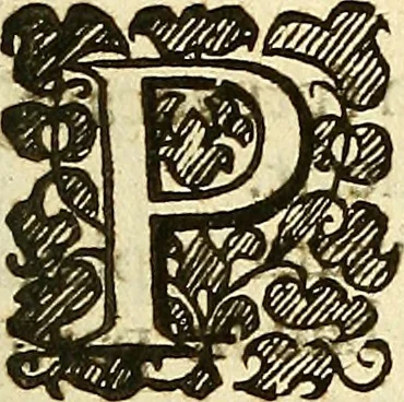 An illustration from A collection of articles, injunctions, canons, orders, ordinances, and constitutions ecclesiastical; with other publick records of the Church of England, chiefly in the times of K. Edward VI., Q. Elizabeth, K. James, & K. Charles I, 1684, leaf 206