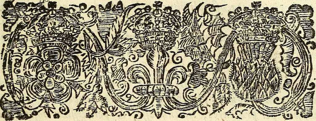 An illustration from A collection of articles, injunctions, canons, orders, ordinances, and constitutions ecclesiastical; with other publick records of the Church of England, chiefly in the times of K. Edward VI., Q. Elizabeth, K. James, & K. Charles I, 1684, leaf 214