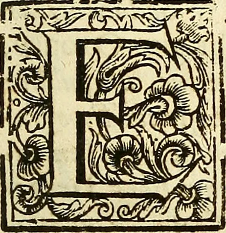 An illustration from A collection of articles, injunctions, canons, orders, ordinances, and constitutions ecclesiastical; with other publick records of the Church of England, chiefly in the times of K. Edward VI., Q. Elizabeth, K. James, & K. Charles I, 1684, leaf 214