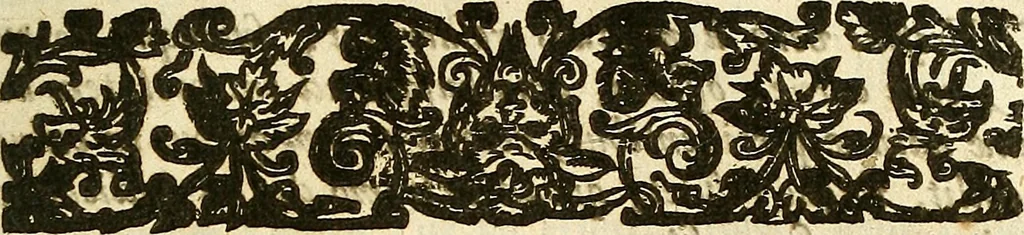 An illustration from A collection of articles, injunctions, canons, orders, ordinances, and constitutions ecclesiastical; with other publick records of the Church of England, chiefly in the times of K. Edward VI., Q. Elizabeth, K. James, & K. Charles I, 1684, leaf 222