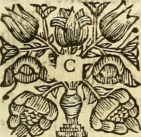 An illustration from A collection of articles, injunctions, canons, orders, ordinances, and constitutions ecclesiastical; with other publick records of the Church of England, chiefly in the times of K. Edward VI., Q. Elizabeth, K. James, & K. Charles I, 1684, leaf 350