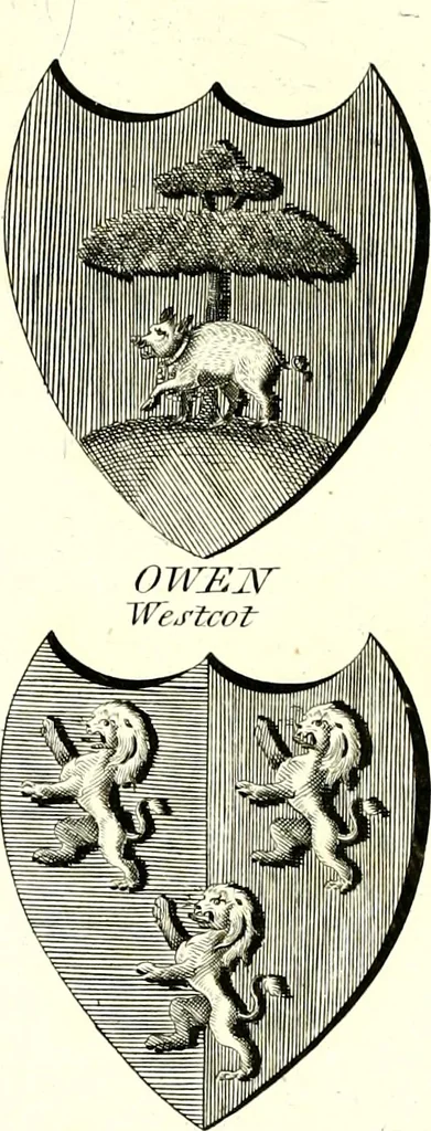 An illustration from A Collection of coats of arms borne by the nobility and gentry of the county of Glocester, 1792, leaf 134