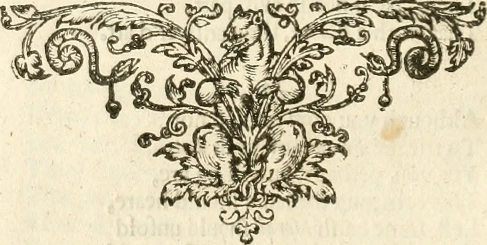 An illustration from A collection of emblemes, ancient and moderne : quickened vvith metricall illustrations, both morall and divine : and disposed into lotteries, that instruction and good counsell may bee furthered by an honest and pleasant recreation, 1635, leaf 223