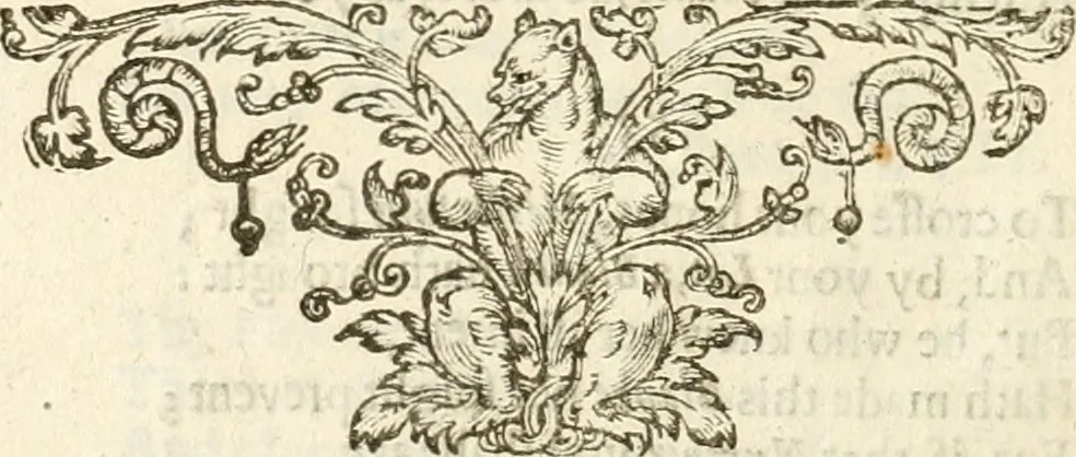 An illustration from A collection of emblemes, ancient and moderne : quickened vvith metricall illustrations, both morall and divine : and disposed into lotteries, that instruction and good counsell may bee furthered by an honest and pleasant recreation, 1635, leaf 291
