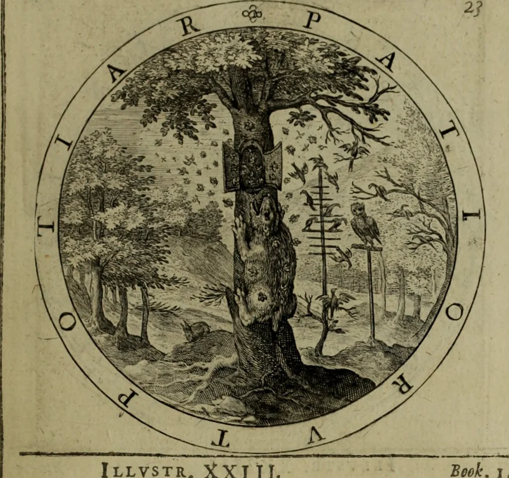 An illustration from A collection of emblemes, ancient and moderne : quickened vvith metricall illvstrations, both morall and divine, and disposed into lotteries, that instruction and good counsell may bee furthered by an honest and pleasant recreation, 1635, leaf 48