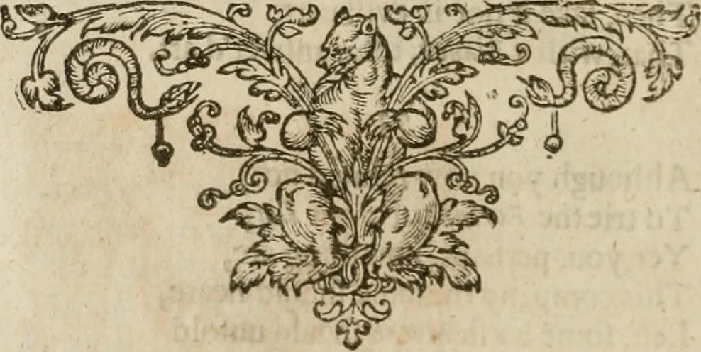 An illustration from A collection of emblemes, ancient and moderne : quickened vvith metricall illustrations, both morall and divine : and disposed into lotteries ..., 1635, leaf 225