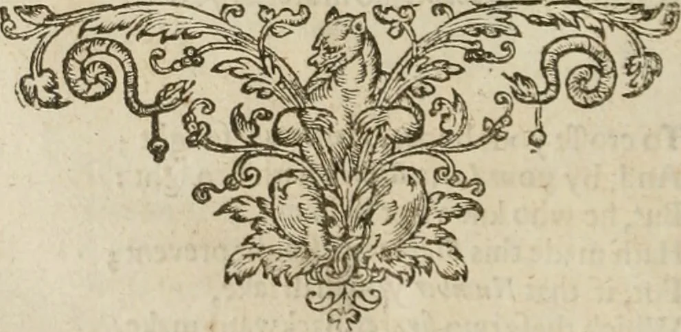 An illustration from A collection of emblemes, ancient and moderne : quickened vvith metricall illustrations, both morall and divine : and disposed into lotteries ..., 1635, leaf 293