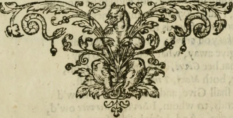 An illustration from A collection of emblemes, ancient and moderne : quickened vvith metricall illustrations, both morall and divine : and disposed into lotteries ..., 1635, leaf 298
