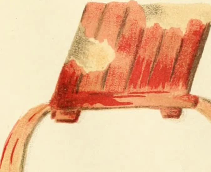 An illustration from A collection of hieroglyphs : a contribution to the history of Egyptian writing, 1898, leaf 100