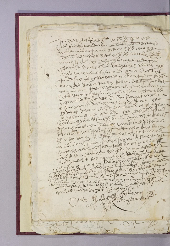 An illustration from [Collection of Mexican legal forms], leaf 34