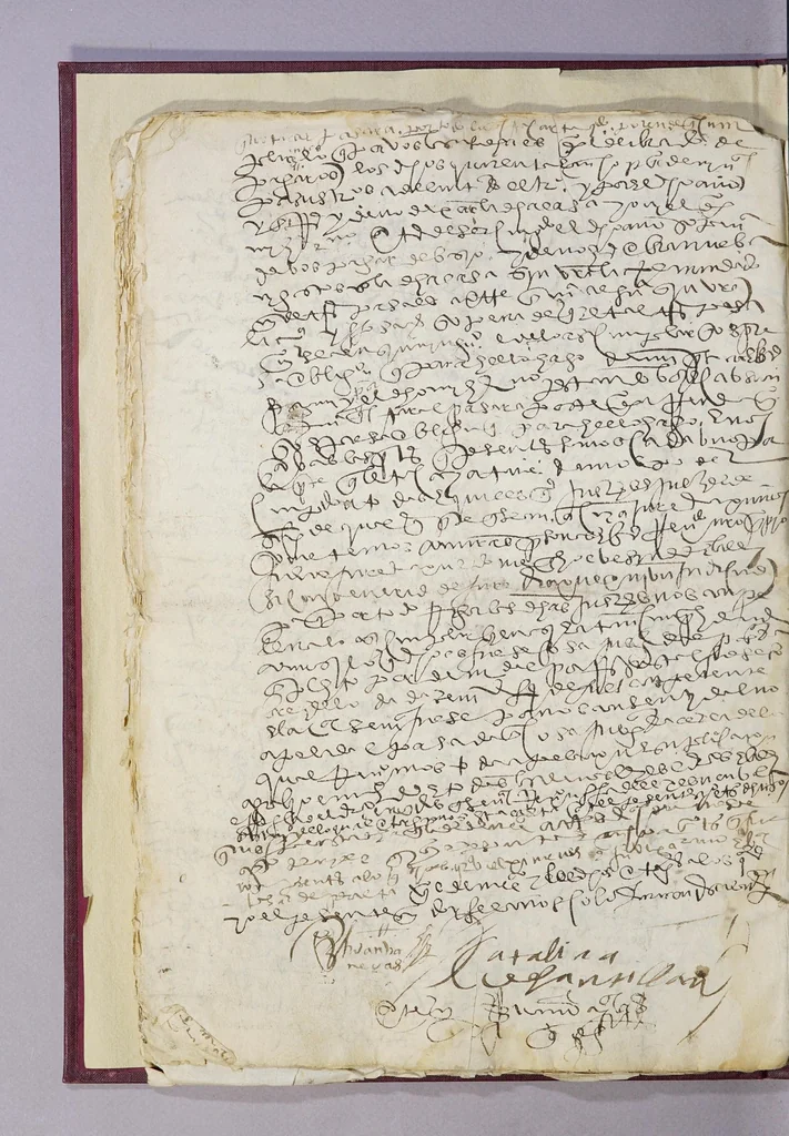 An illustration from [Collection of Mexican legal forms], leaf 58