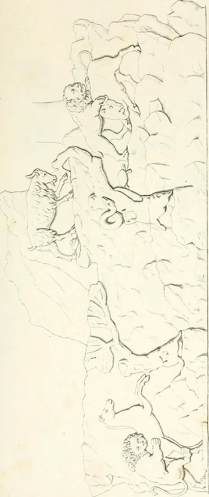 An illustration from Collection of the most remarkable monuments of the National Museum;, 1873, leaf 14