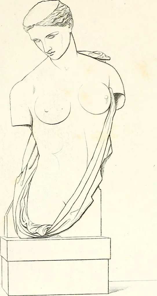 An illustration from Collection of the most remarkable monuments of the National Museum;, 1873, leaf 86