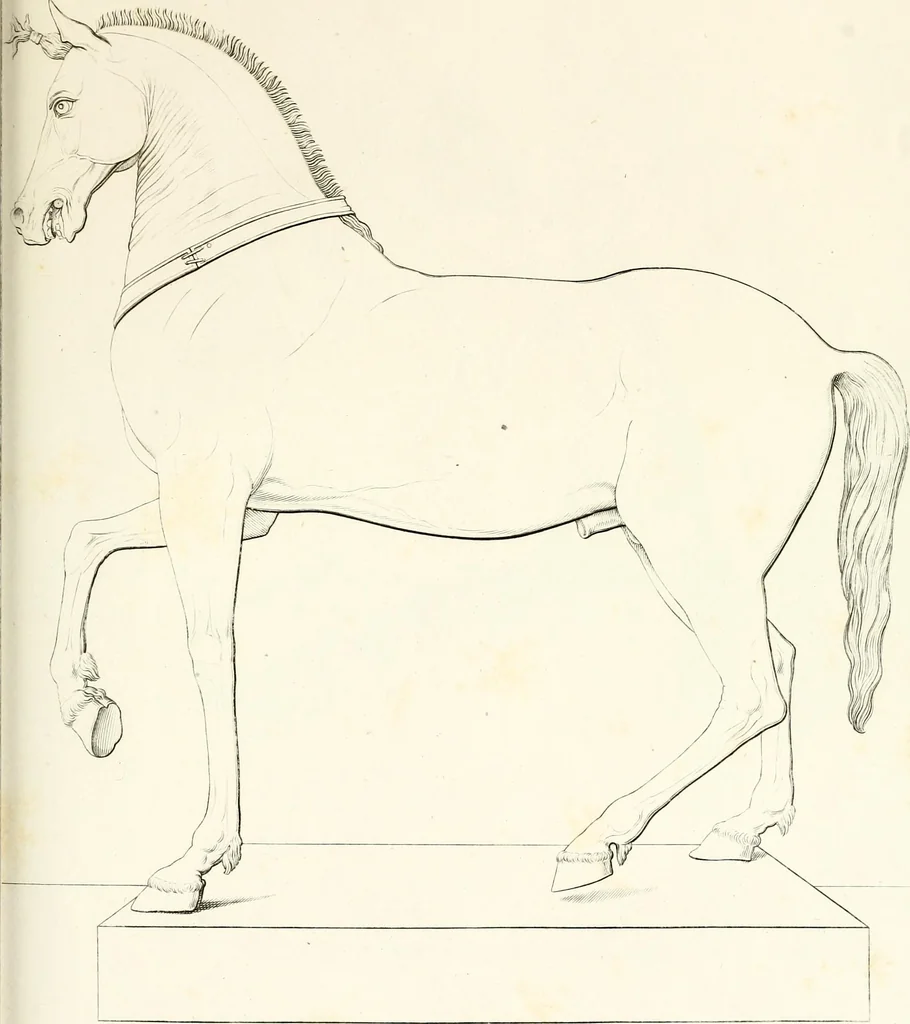 An illustration from Collection of the most remarkable monuments of the National Museum;, 1873, leaf 62