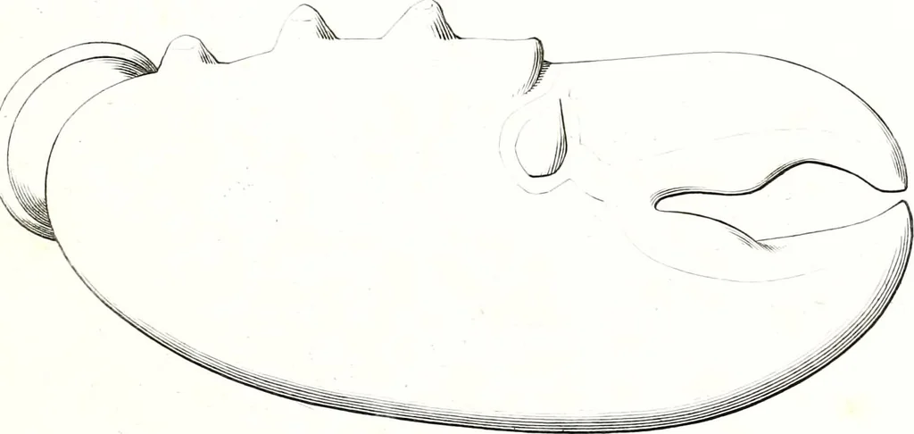 An illustration from Collection of the most remarkable monuments of the National Museum;, 1873, leaf 54