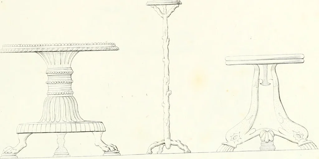 An illustration from Collection of the most remarkable monuments of the National Museum, 1869, leaf 208
