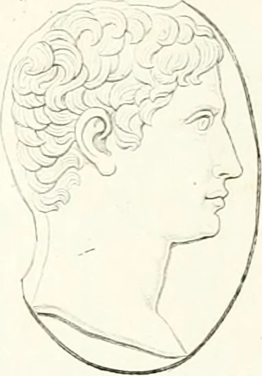 An illustration from Collection of the most remarkable monuments of the National Museum, 1869, leaf 272