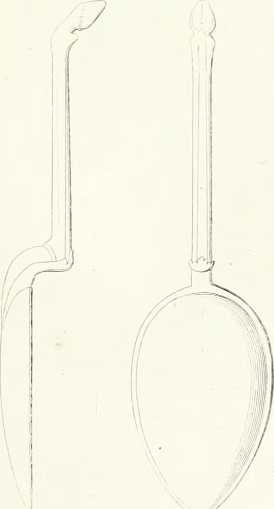 An illustration from Collection of the most remarkable monuments of the National Museum, 1869, leaf 304