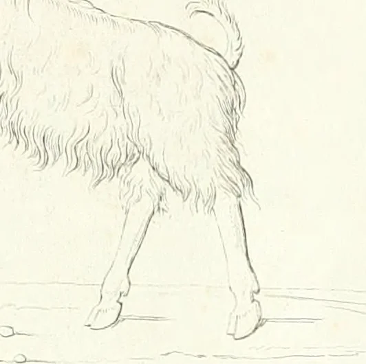 An illustration from Collection of the most remarkable monuments of the National Museum, 1869, leaf 346